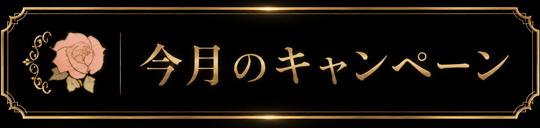 CAMPAIGN