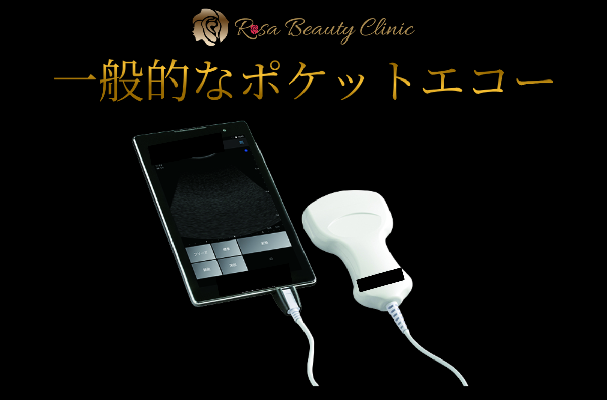 簡易的なポケットエコー